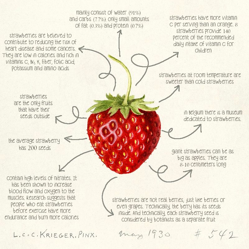 strawberry benefits and nutritional facts